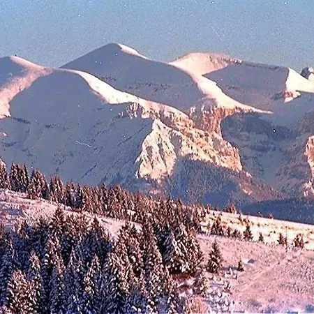 Al Pino