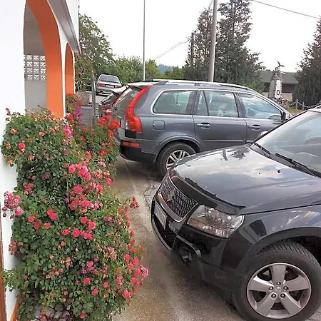 Al Pino