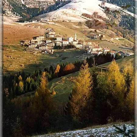 Al Pino *