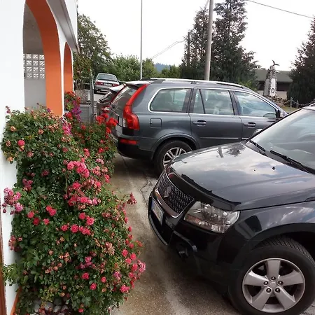 Al Pino
